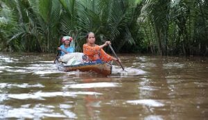 Tay Juhana Foundation -Wetlands