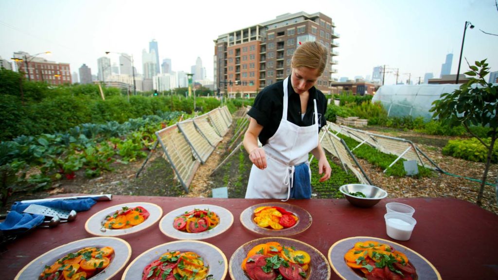 Integrating the Innovation of Food System to the Nation’s Action Plan