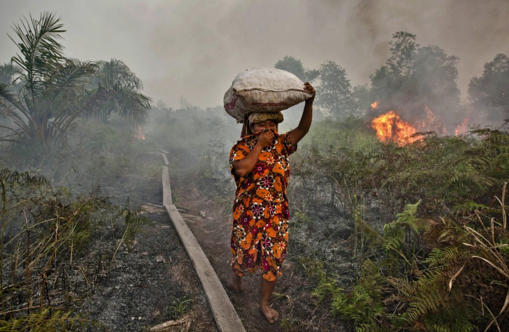 Adaptation and Mitigation in Peatland Management Following Indonesia's 2015 Forest Fires