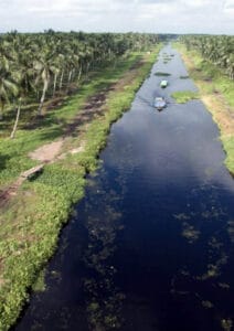 Balancing Environmental Conservation and Socioeconomic Welfare