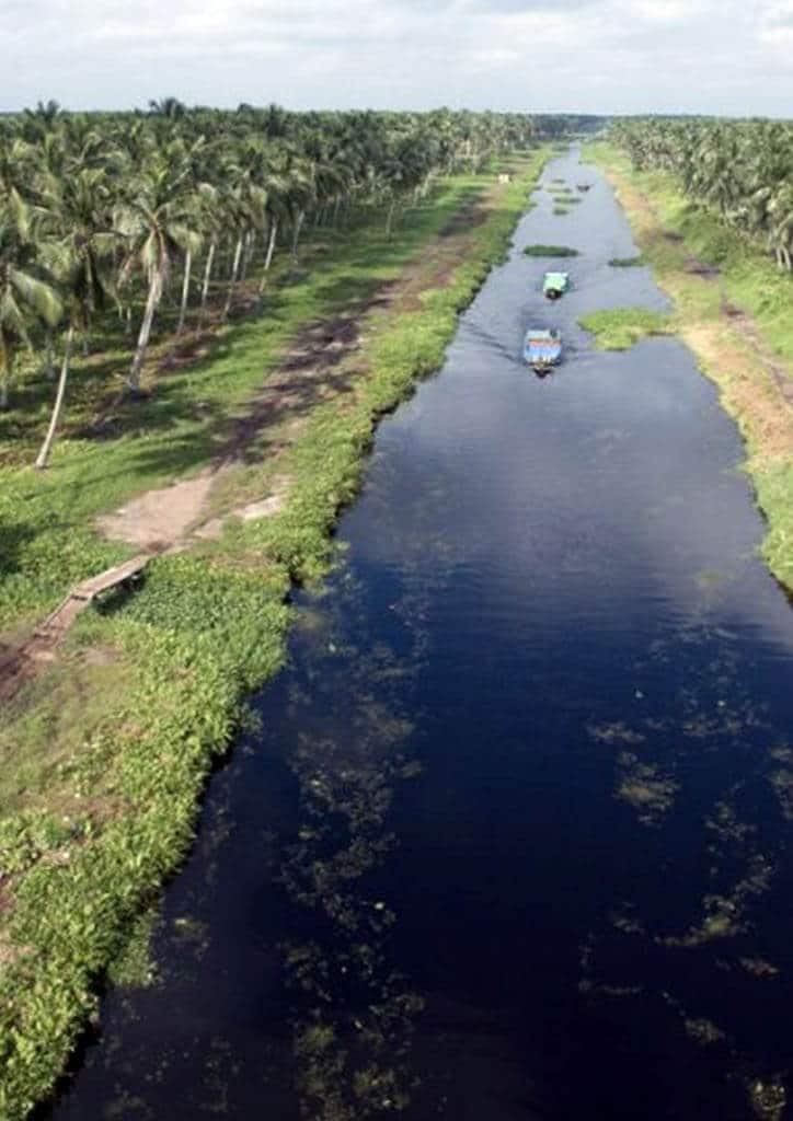 Balancing Environmental Conservation and Socioeconomic Welfare