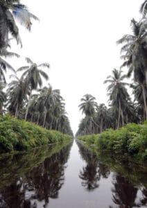 Minimizing carbon loss through integrated water resource management