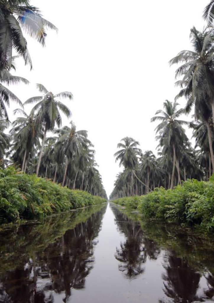 Minimizing carbon loss through integrated water resource management
